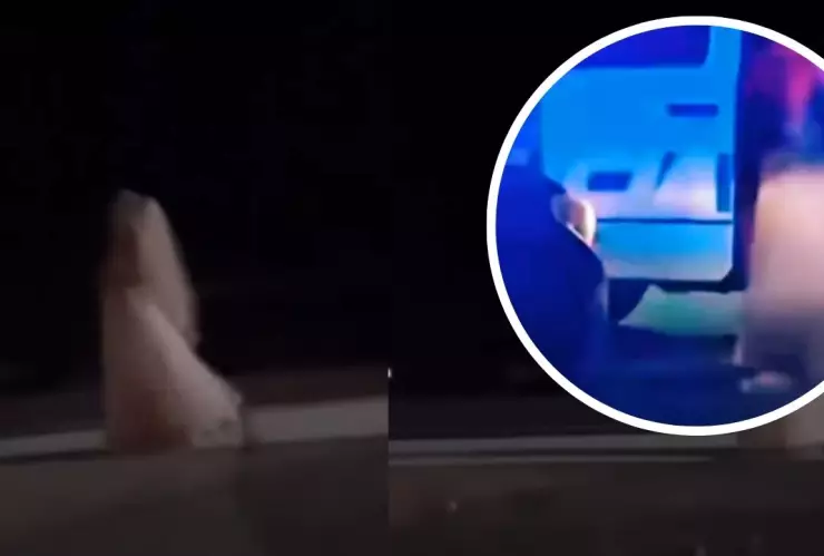 Policía detiene a La Llorono