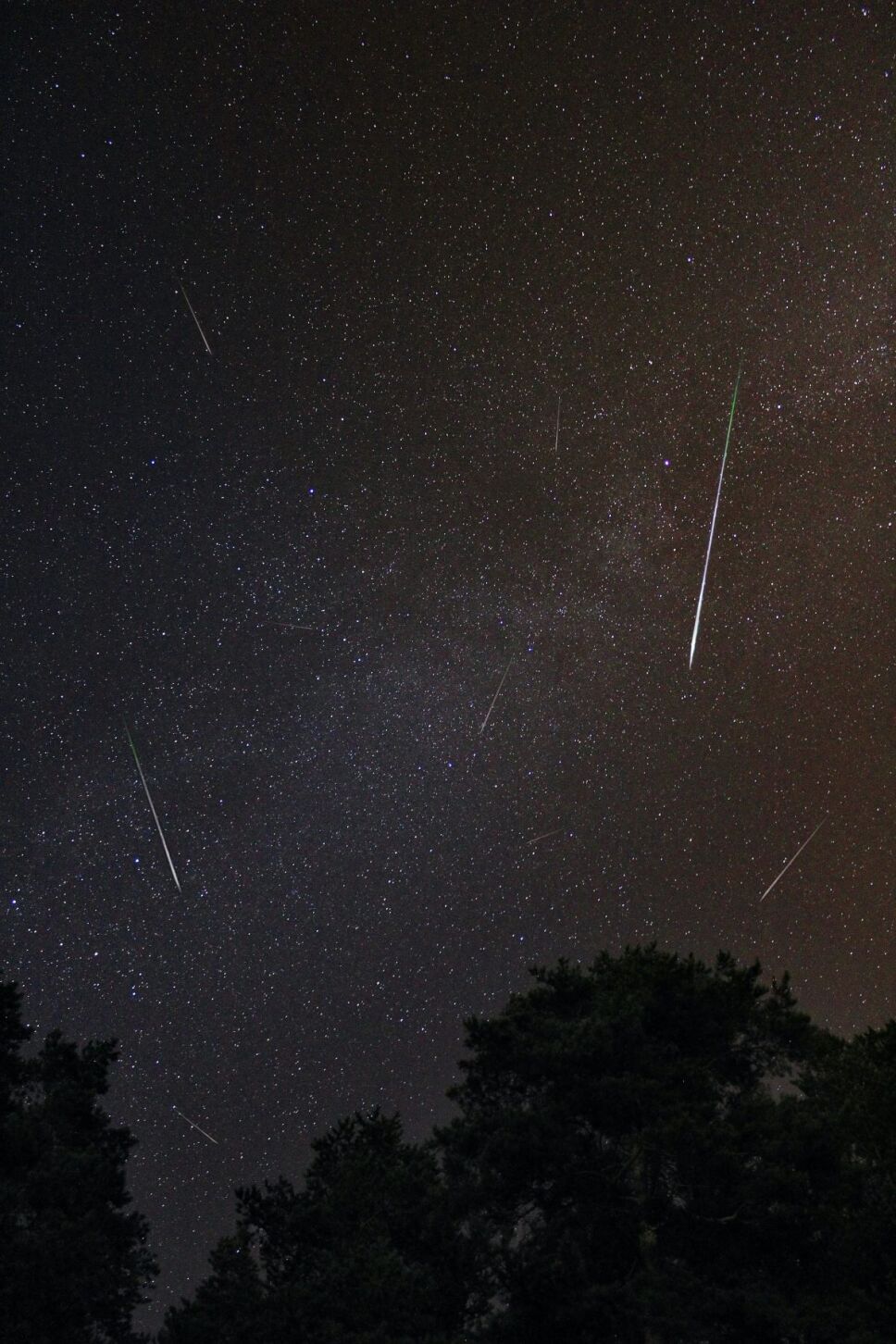 Lluvia de estrellas 2021