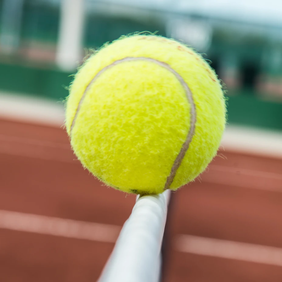 Pelota de tenis