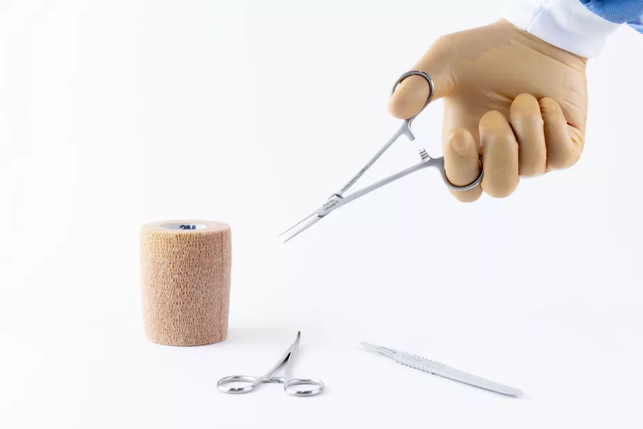 Foto 02 Aigokeros.jpg