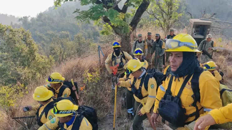 Incendio El Veladero.jpg