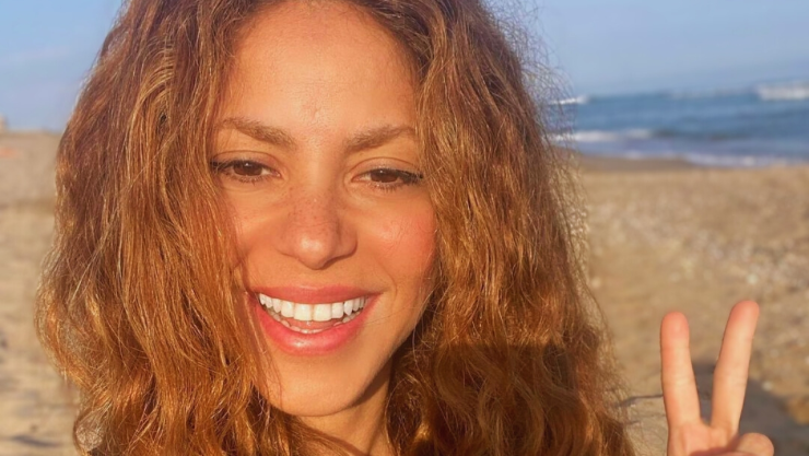 Shakira compartió una foto que despertó dudas sobre su relación con Lewis Hamilton.