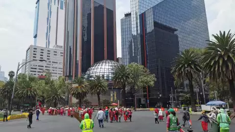 TRIQUIS REFORMA.jpeg