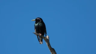 clima hoy ciudad juárez