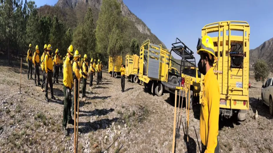 Incendio arteaga_Conafor.jpg