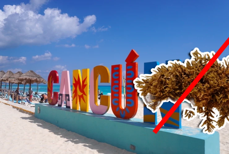 Estas son las playas sin sargazo en Quintana Roo HOY 17 de noviembre de 2025_ Cancún, Playa del Carmen, Tulum y más.webp