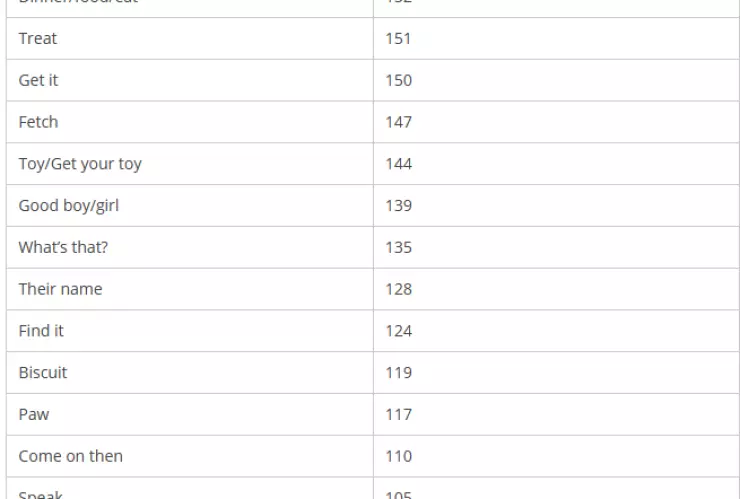 OnBuy compartió la tabla de las palabras que más gustan a nuestros perros
