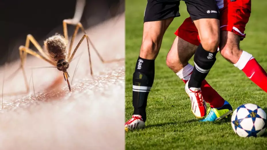 Reportan futbolistas con dengue en Argentina; hay varios enfermos