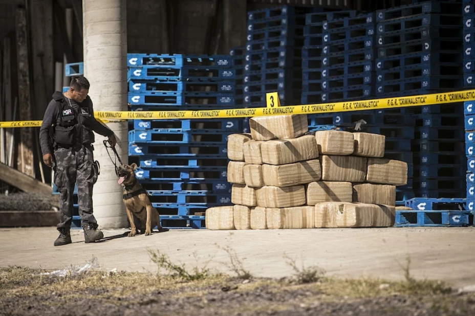 PGR decomiso Michoacán