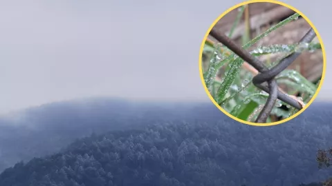 Frío en zonas de montañas de Veracruz