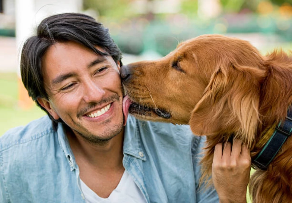 Lamidas de perro.jpg