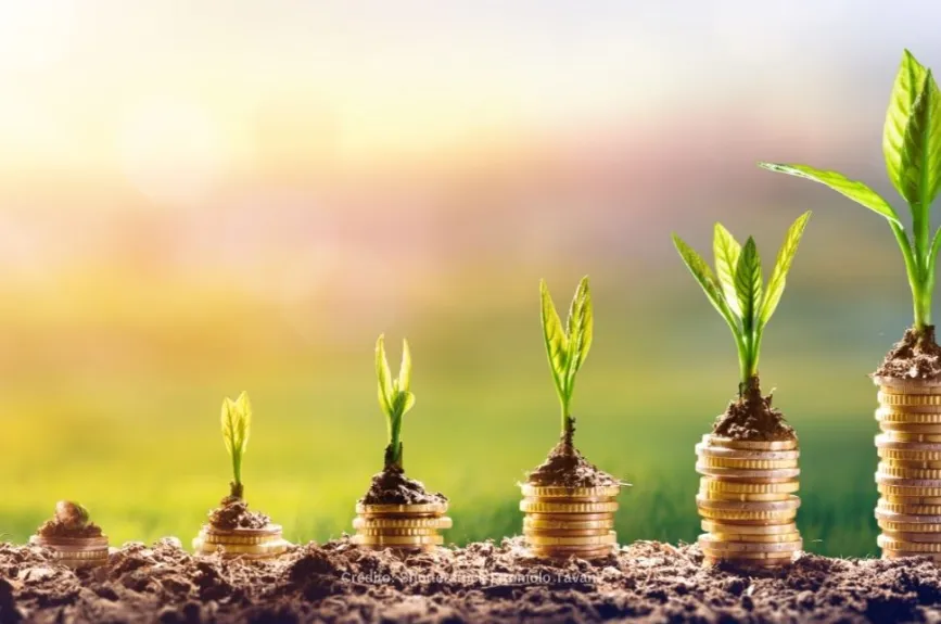 Dinero monedas plantas.jpg