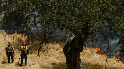 Se han registrado 70 incendios de pastizales en Querétaro