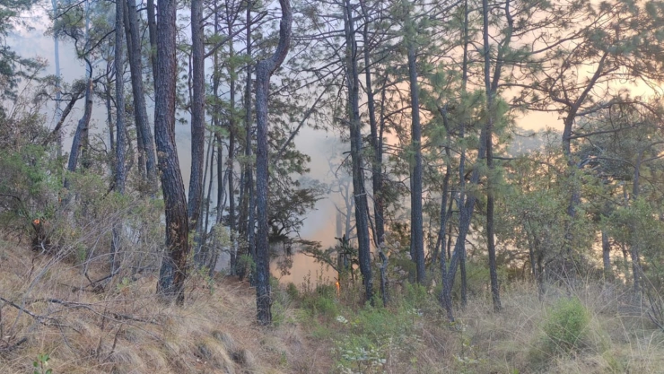 Incendio forestal en paraje de Tapalpa.jpeg