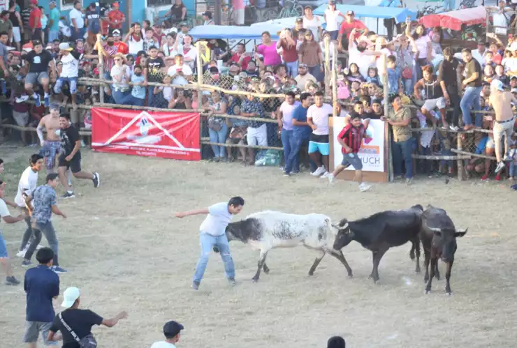 Realizan Pamplomuchada en Campeche 3