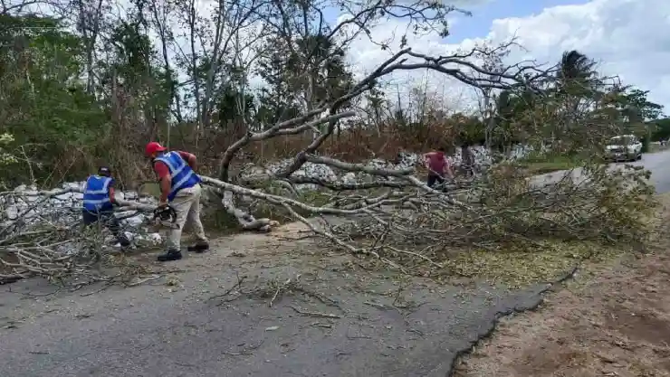 FOTOS_ Fuertes vientos derriban árbol sobre la carretera a Tecoh