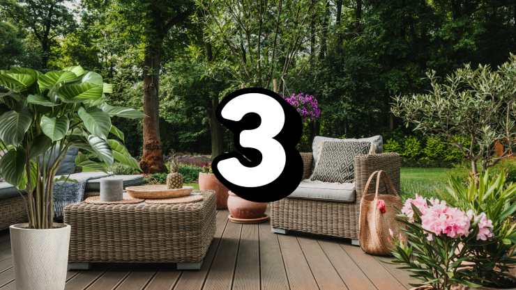 Expertos en jardinería coinciden: Estas son las 3 plantas que harán que tu jardín se vea lujoso y elegante