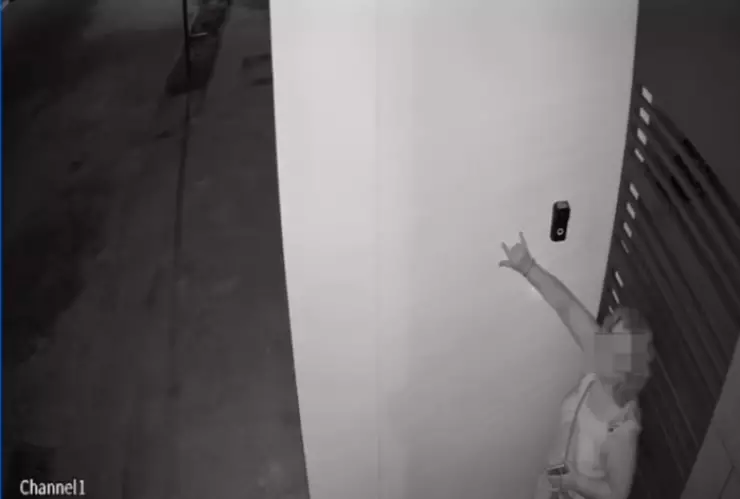 mujer terro las americas