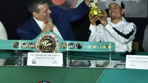 Gallo Estrada Argi Cortes