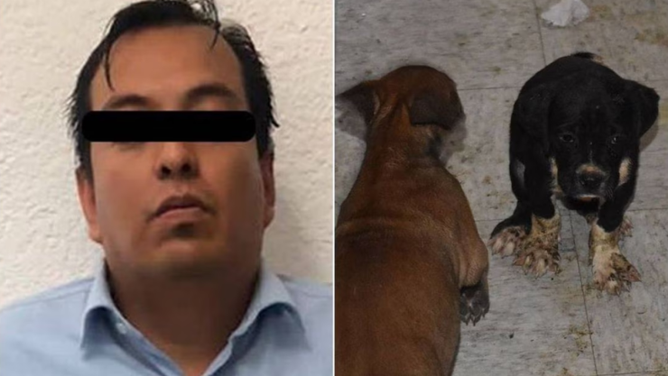 Jesús “N” y Laura “N” agresores de una maestra en Cuautitlán Izcalli ahora son investigados por maltrato animal.