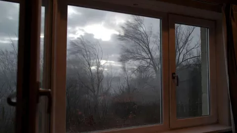 ¡Estos municipios estarán a 0° grados! ¿Cuáles Así el pronóstico del clima en Guanajuato hoy domingo 18 de enero.jpg