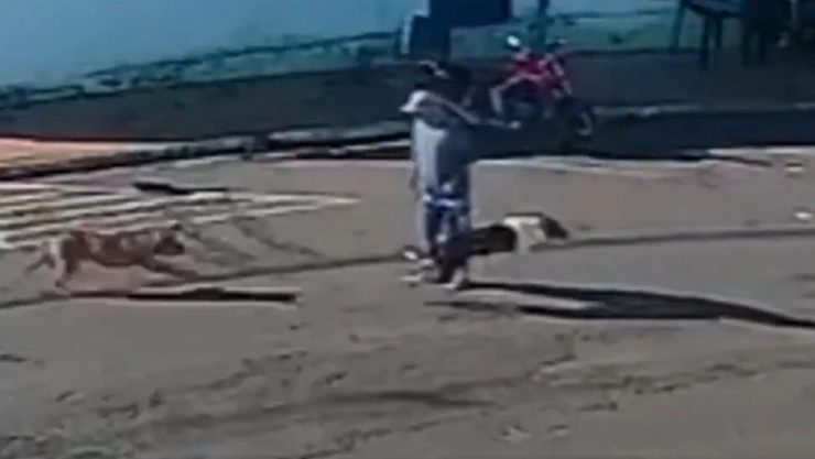 Perro atropella a un adulto mayor en Brasil.jpg