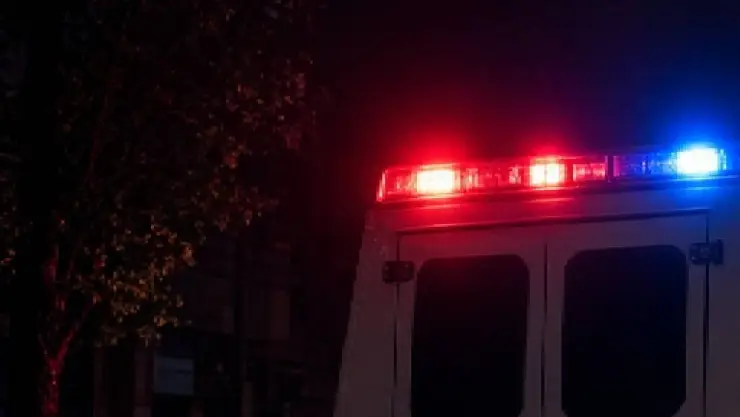 ¡Tragedia! Hombre MUERE tras caer de un ÁRBOL en Sotuta mientras bajaba frutos; esto se sabe