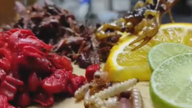 carne exótica CDMX venta