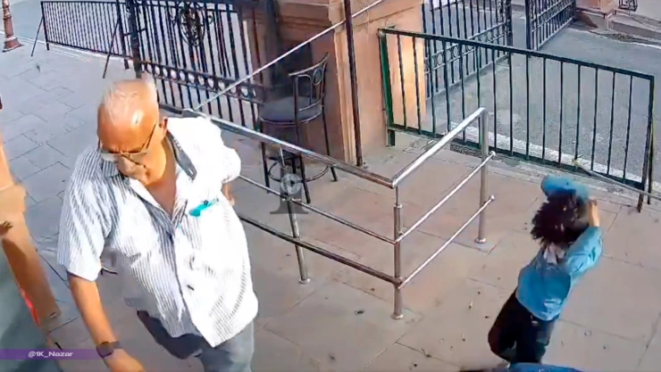 Video viral: Momento exacto del ataque de abejas a turistas en la India este 2026