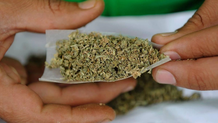 Marihuana1