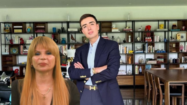 mhonividente-mickyhair.png