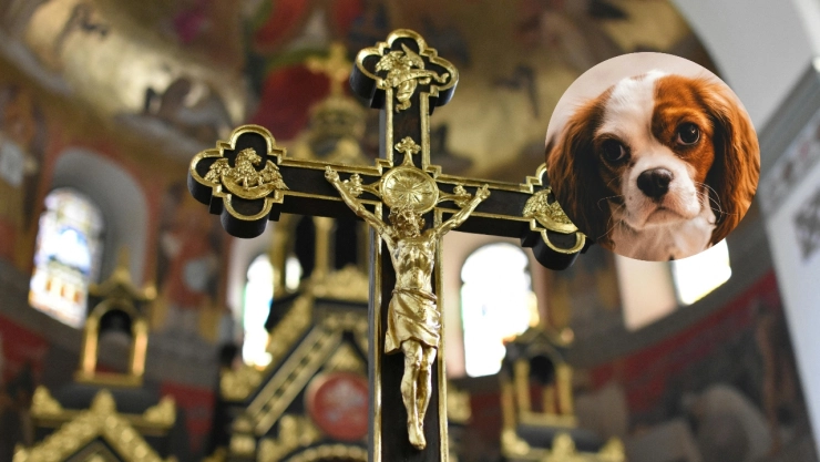 Polémica en Italia: la iglesia San Nicolò all’Arena veta a los perros tras incidentes con excrementos y agua bendita.