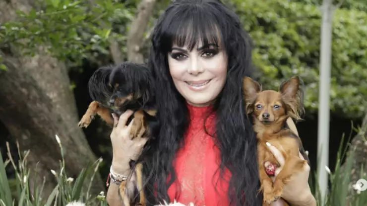 Así fue como la misma Maribel Guardia DESMINTIÓ su MUERTE, ¿andaba de parranda?