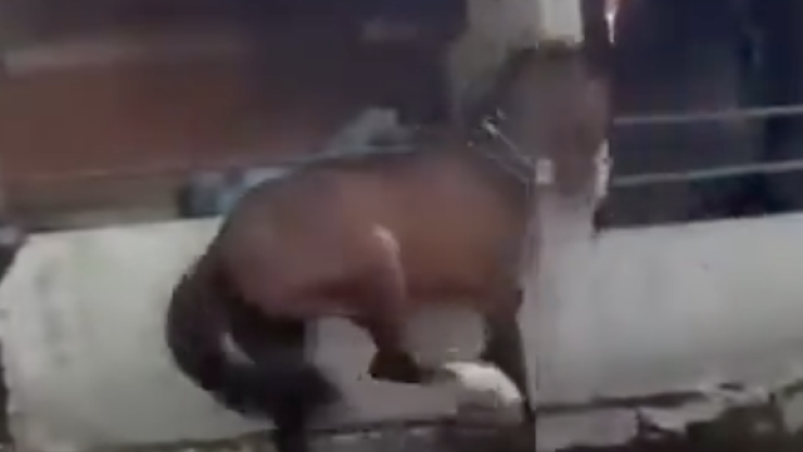 CA