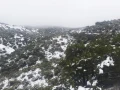 Nevadas en Zacatecas