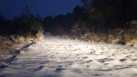 Primera nevada en Cofre de Perote