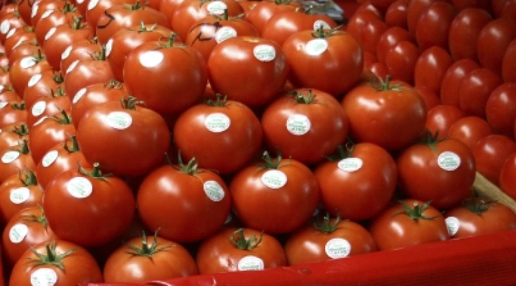 Jitomates tomates