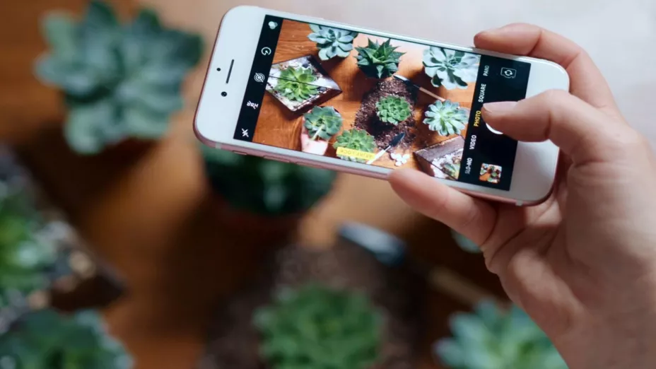 Inteligencia artificial también se utiliza para cultivar alimentos_UNAM.jpg