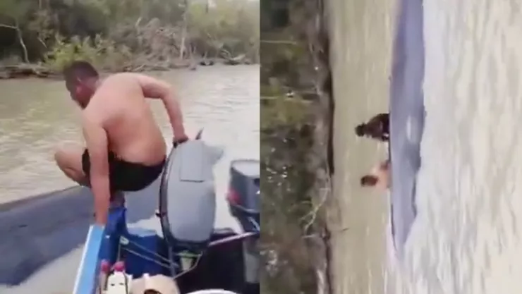 Confundida con un tronco: así rescataron a ballena varada en un río