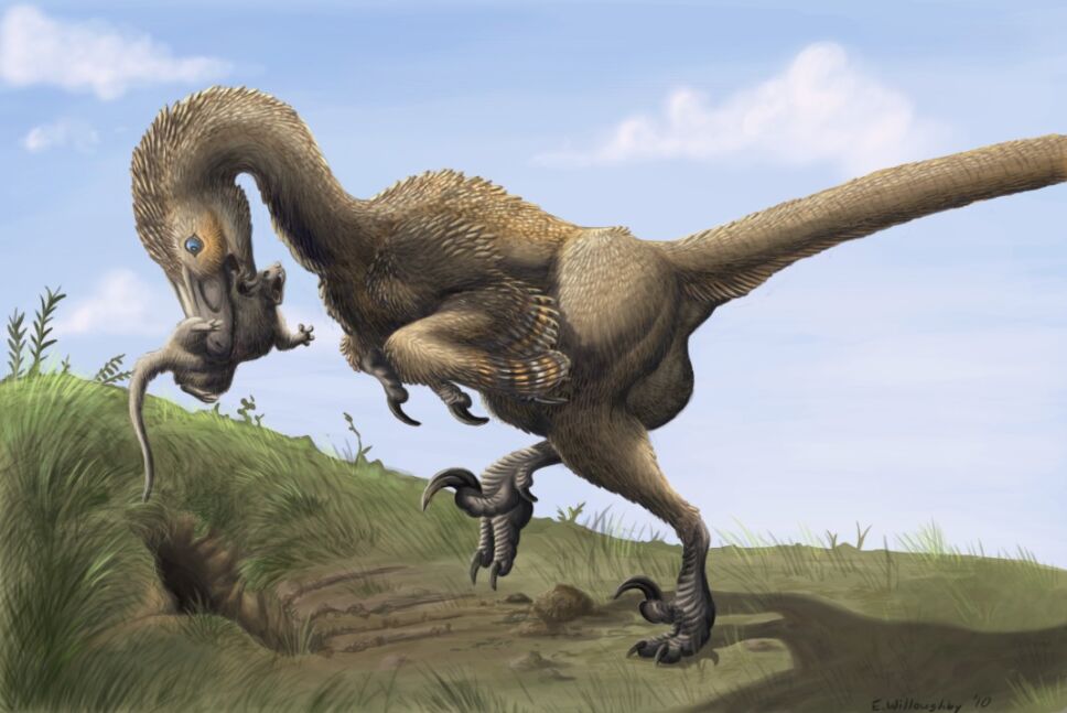 Dinosaurios, México 3.jpg
