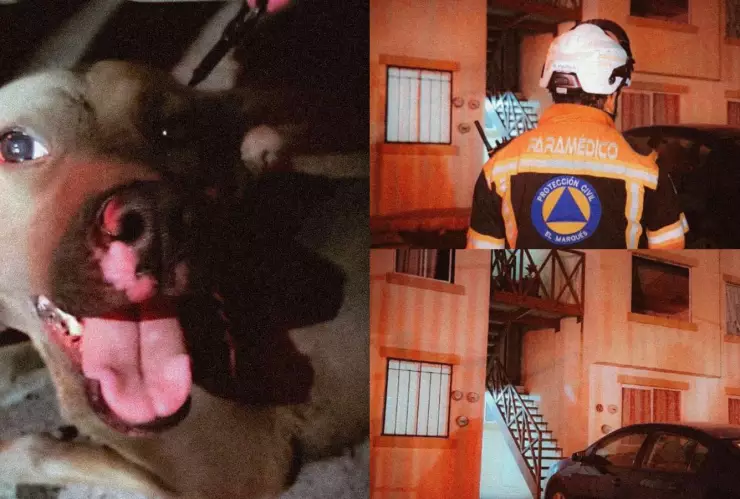 Boiler explota en Real Solare El Marqués, Querétaro; perrito con quemaduras