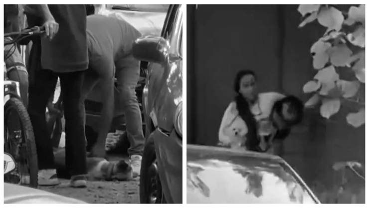 Tragedia en Tonalá: Muere hombre con sus dos perros durante incendio | VIDEO