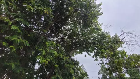 Alerta Protección Civil por entrada del frente frío 32 a Yucatán ¡Habrá fuertes vientos!