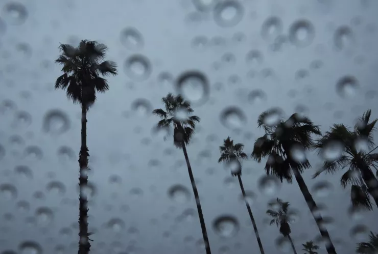 SMN alerta por formación ce ciclón tropical