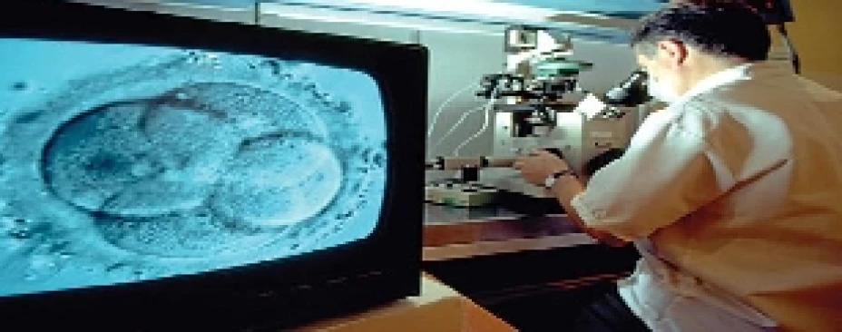 fertilización in vitro