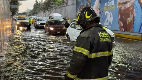 foto - 2025-07-14T182350.561.jpg