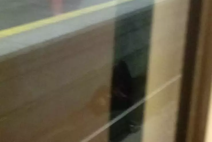 FOTO | Joven cae a las vías de la Línea 3 del Tren Ligero y termina con las manos amputadas en Guadalajara