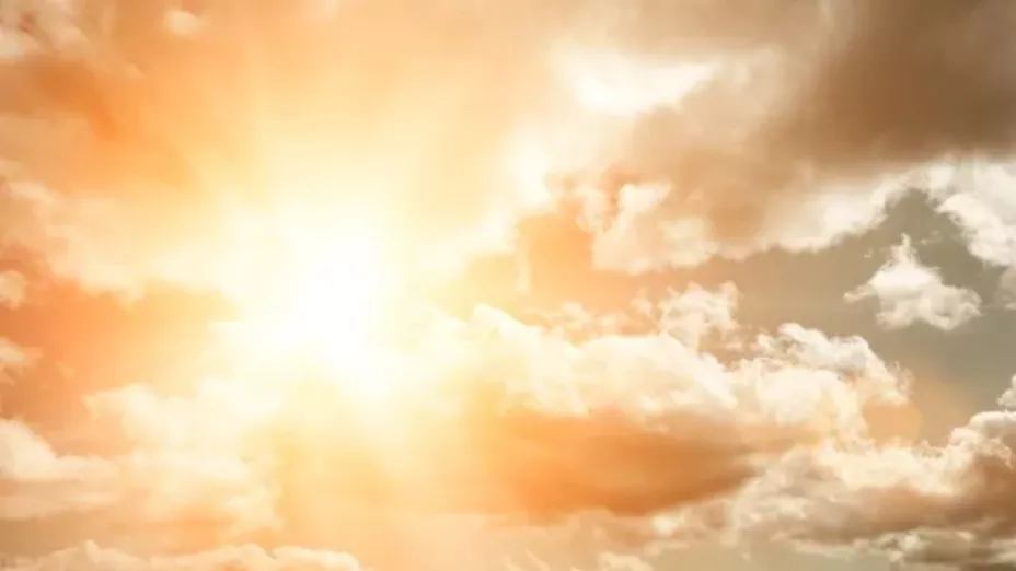 Texto del párrafo - 2025-04-27T163413.173.jpg