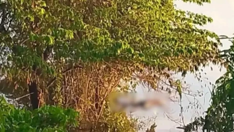 Cuerpo río Tenosique