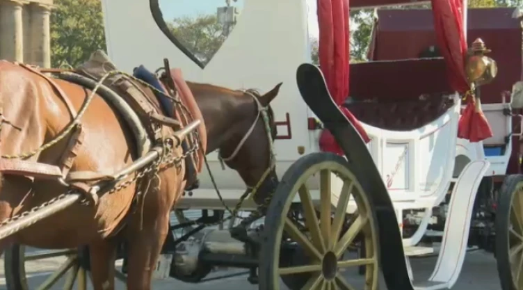 Calandria accidente caballo jalisco.jpg
